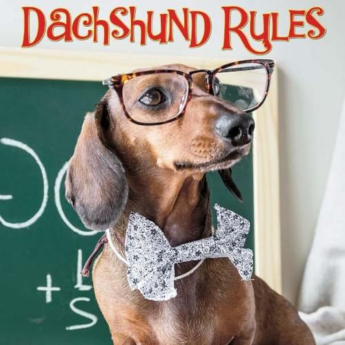 Cover image for Dachshund Rules