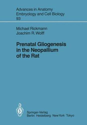 Cover image for Prenatal Gliogenesis in the Neopallium of the Rat