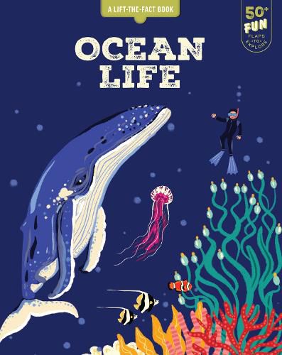 Cover image for Lift the Fact: Ocean Life