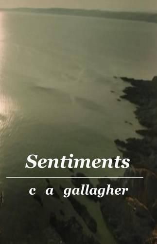 Cover image for Sentiments