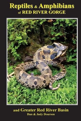 Cover image for Reptiles and Amphibians of Red River Gorge & Greater Red River Basin