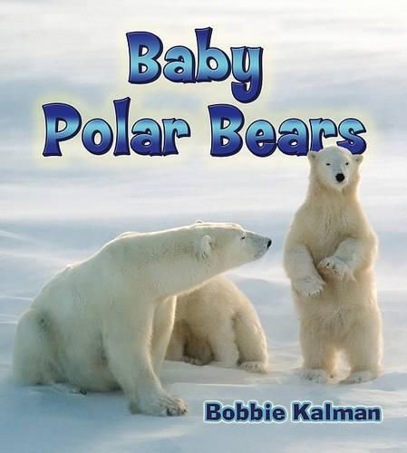 Cover image for Baby Polar Bears