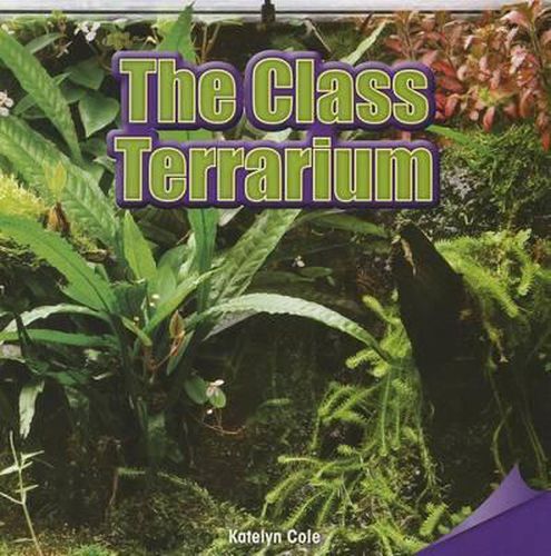 Cover image for The Class Terrarium