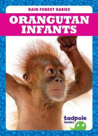 Cover image for Orangutan Infants