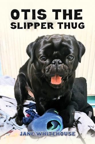 Cover image for Otis the Slipper Thug