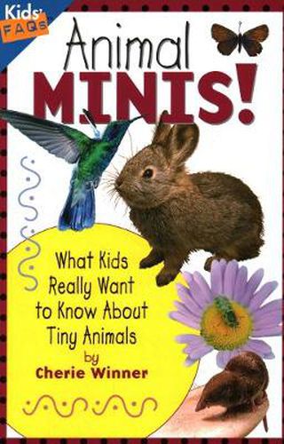 Animal Minis: What Kids Really Want to Know About Tiny Animals