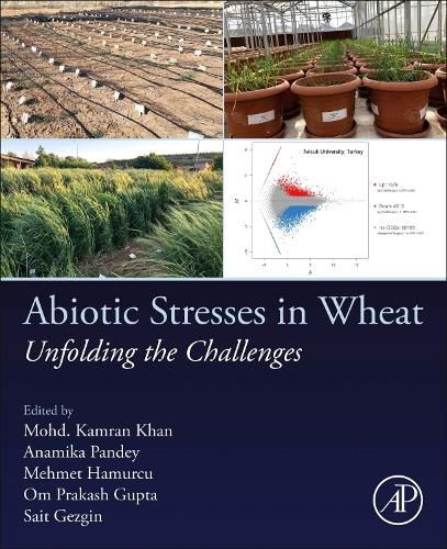 Cover image for Abiotic Stresses in Wheat: Unfolding the Challenges