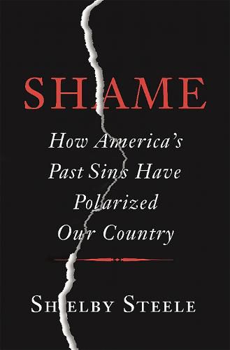 Cover image for Shame: How America's Past Sins Have Polarized Our Country