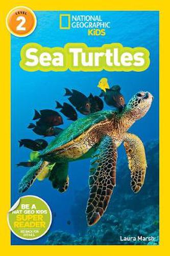 Cover image for National Geographic Kids Readers: Sea Turtles