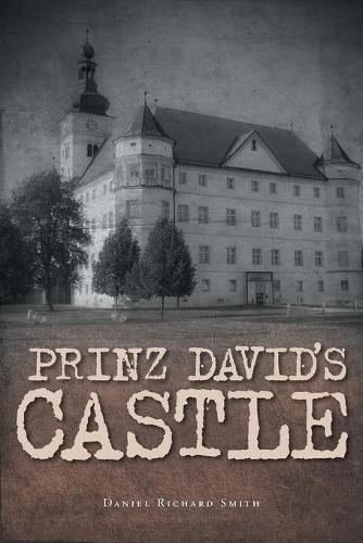 Cover image for Prinz David's Castle