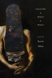 Cover image for Calling a Wolf a Wolf