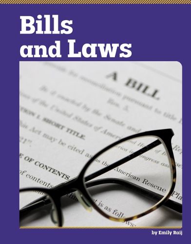 Cover image for Bills and Laws