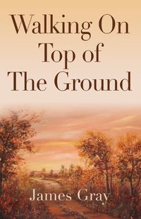 Cover image for Walking on Top of the Ground