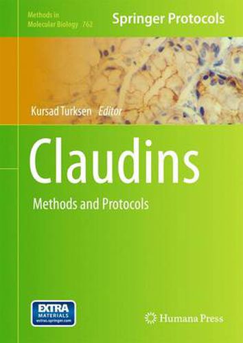 Cover image for Claudins: Methods and Protocols