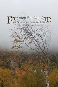 Cover image for Forgotten But Not Gone