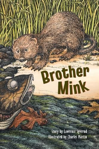 Cover image for Brother Mink