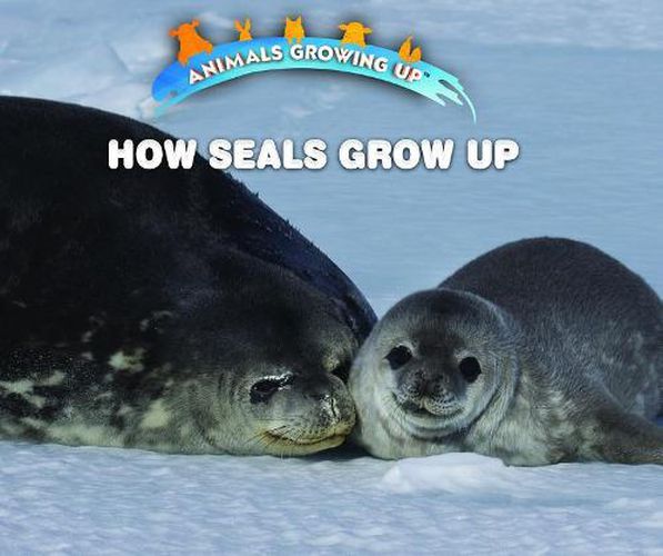 Cover image for How Seals Grow Up