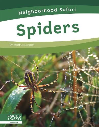 Cover image for Neighborhood Safari: Spiders