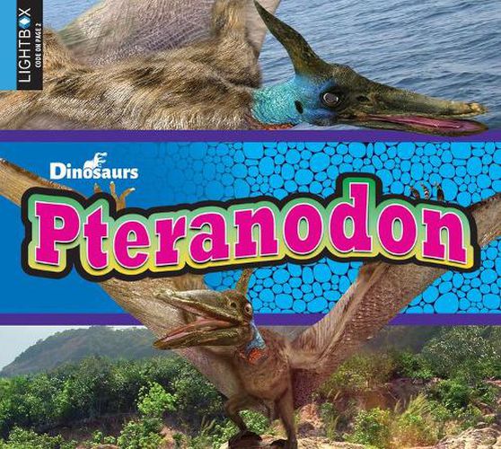 Cover image for Pteranodon