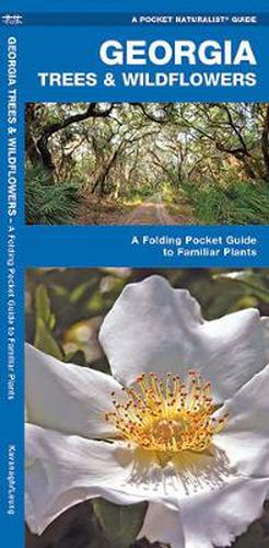 Cover image for Georgia Trees & Wildflowers: A Folding Pocket Guide to Familiar Species