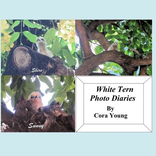 Cover image for White Tern Photo Diaries