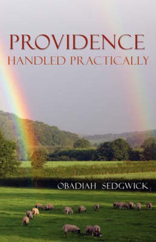 Cover image for Providence Handled Practically