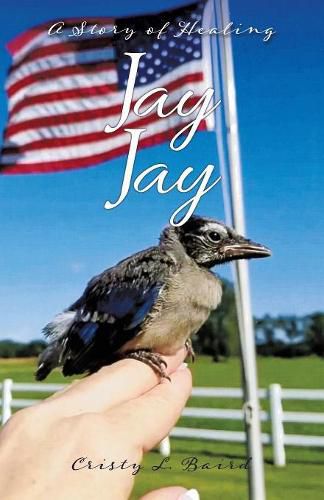 Cover image for Jay Jay