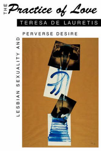 Cover image for The Practice of Love: Lesbian Sexuality and Perverse Desire