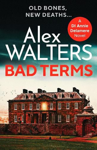 Cover image for Bad Terms: A page-turning British detective crime thriller