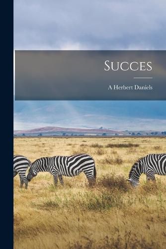 Cover image for Succes