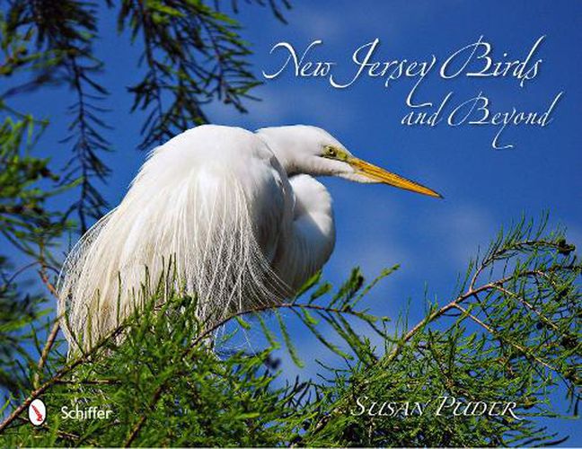 Cover image for New Jersey Birds and Beyond