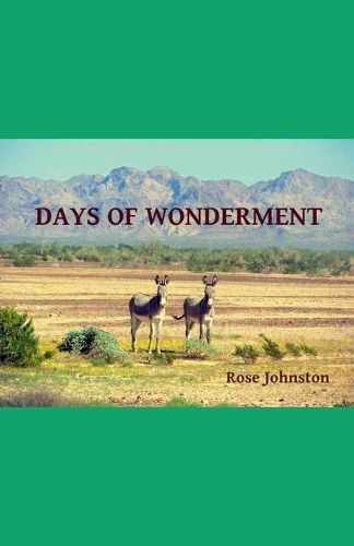 Cover image for Days of Wonderment
