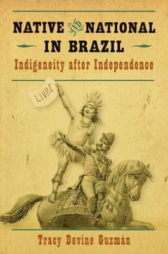 Cover image for Native and National in Brazil: Indigeneity after Independence