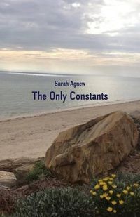 Cover image for Only Constants