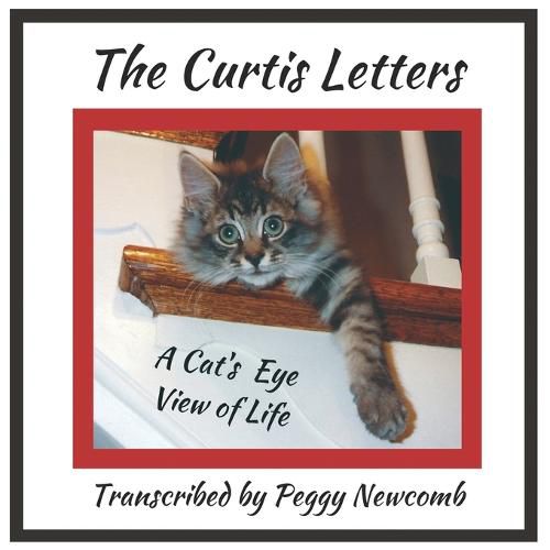 Cover image for The Curtis Letters