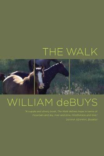 Cover image for The Walk