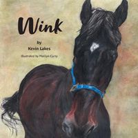 Cover image for Wink