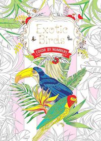 Cover image for Exotic Birds US: Color by Numbers