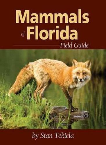 Cover image for Mammals of Florida Field Guide