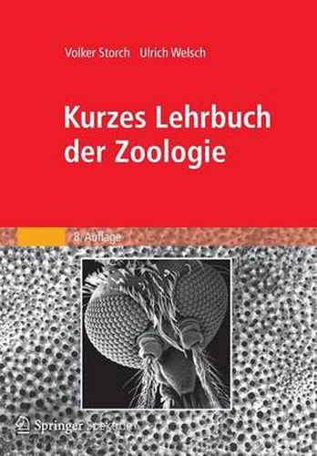 Cover image for Kurzes Lehrbuch Der Zoologie