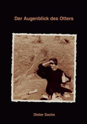 Cover image for Der Augenblick des Otters