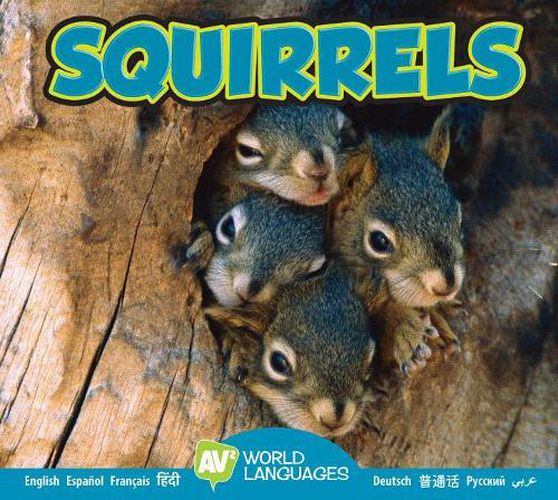 Cover image for Squirrels