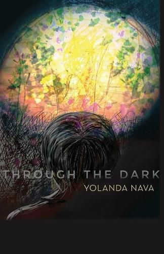 Cover image for Through the Dark