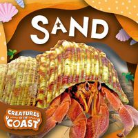 Cover image for Sand