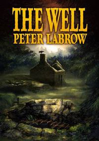 Cover image for The Well