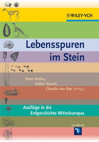 Cover image for Lebensspuren im Stein: Ausfluge in die Erdgeschichte Mitteleuropas