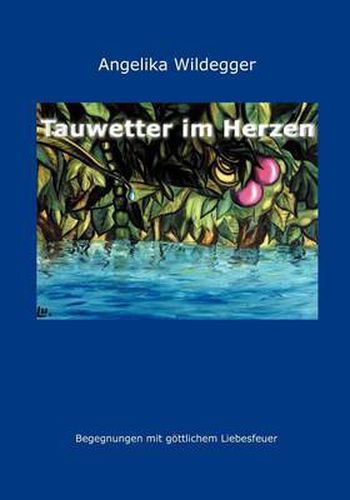 Cover image for Tauwetter im Herzen: Begegnungen mit goettlichem Liebesfeuer