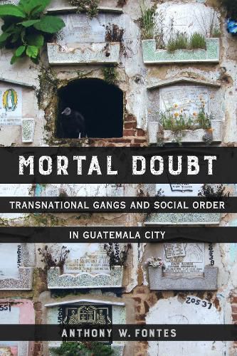 Cover image for Mortal Doubt: Transnational Gangs and Social Order in Guatemala City