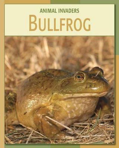 Cover image for Bullfrog