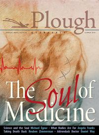 Cover image for Plough Quarterly No. 17- The Soul of Medicine